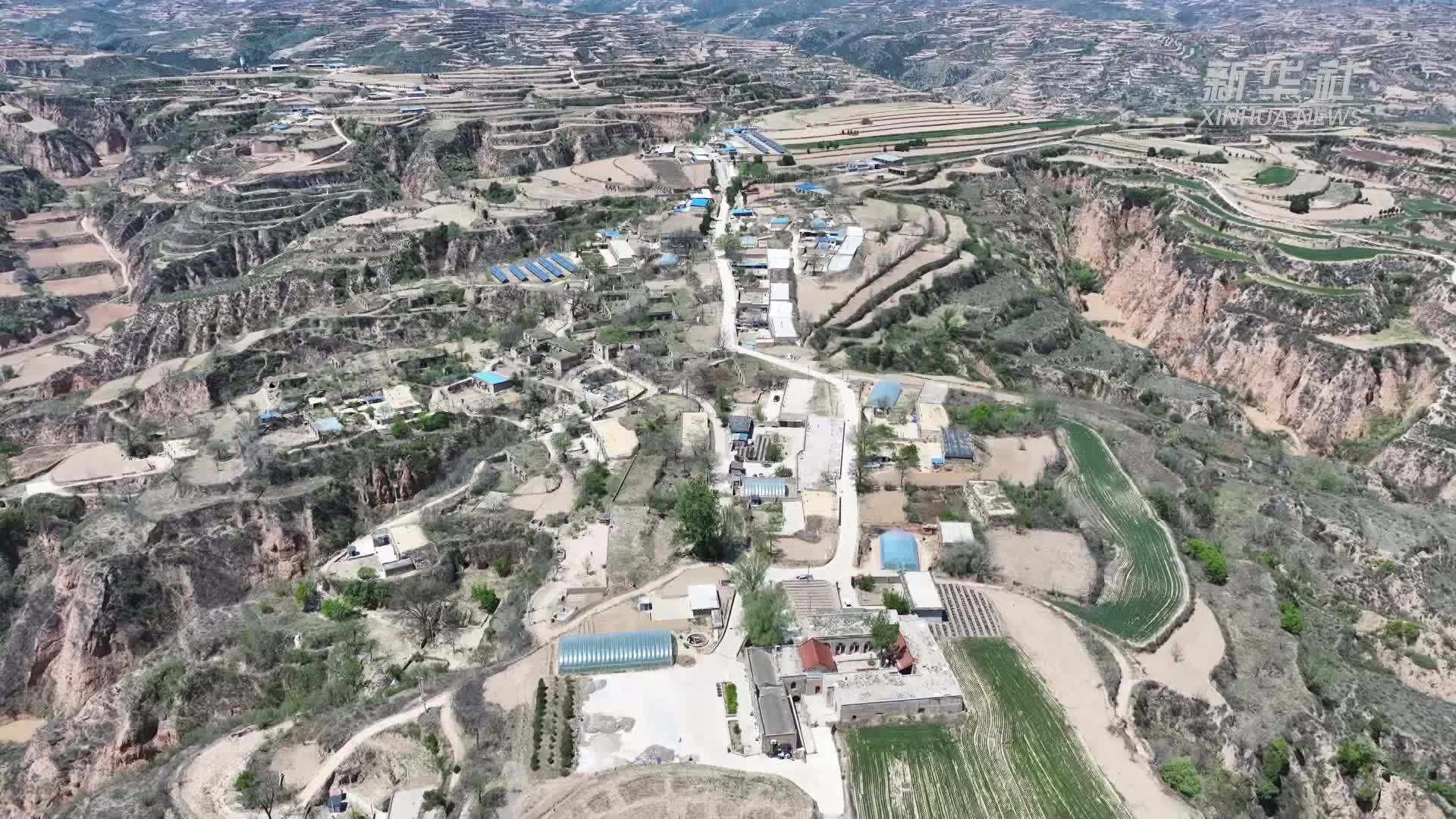 山西汾西：“小庭院”成为村民增收的“大舞台”