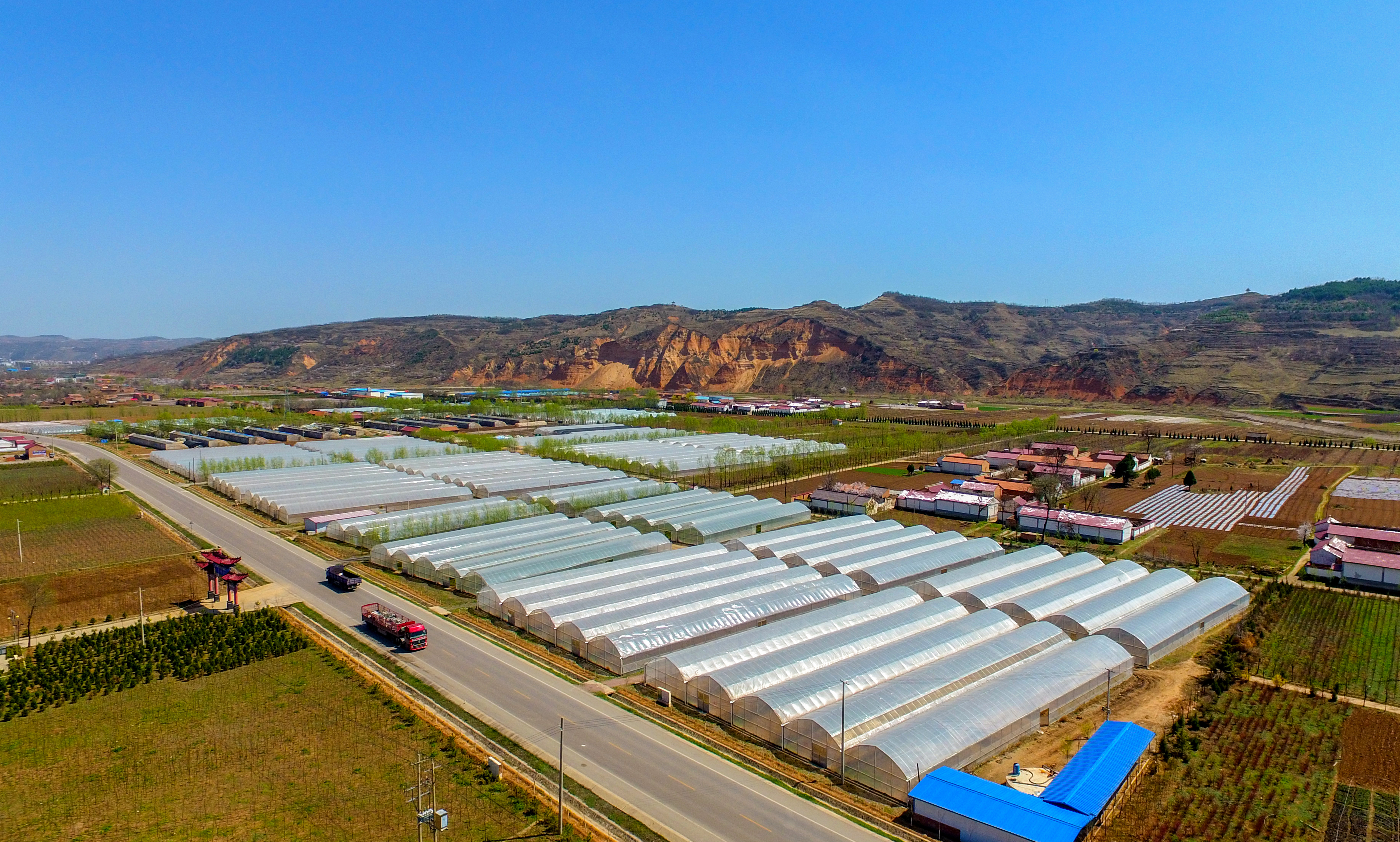 创新招商+建设模式 华亭富“蔬”产业“智”感拉满