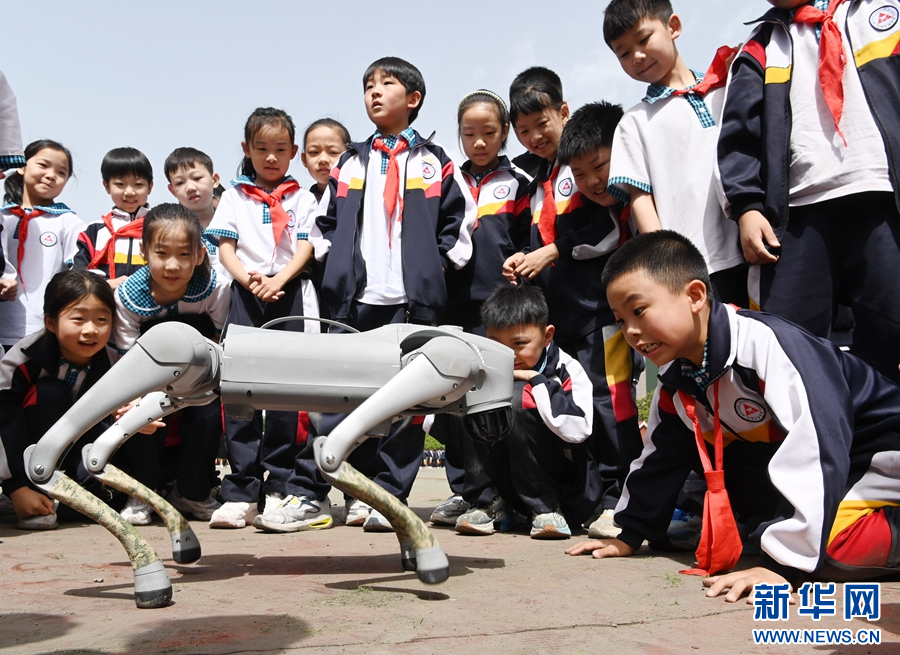 5月9日，在河南省沁阳市永威学校第五届校园科技节上，小朋友在与机器狗互动。