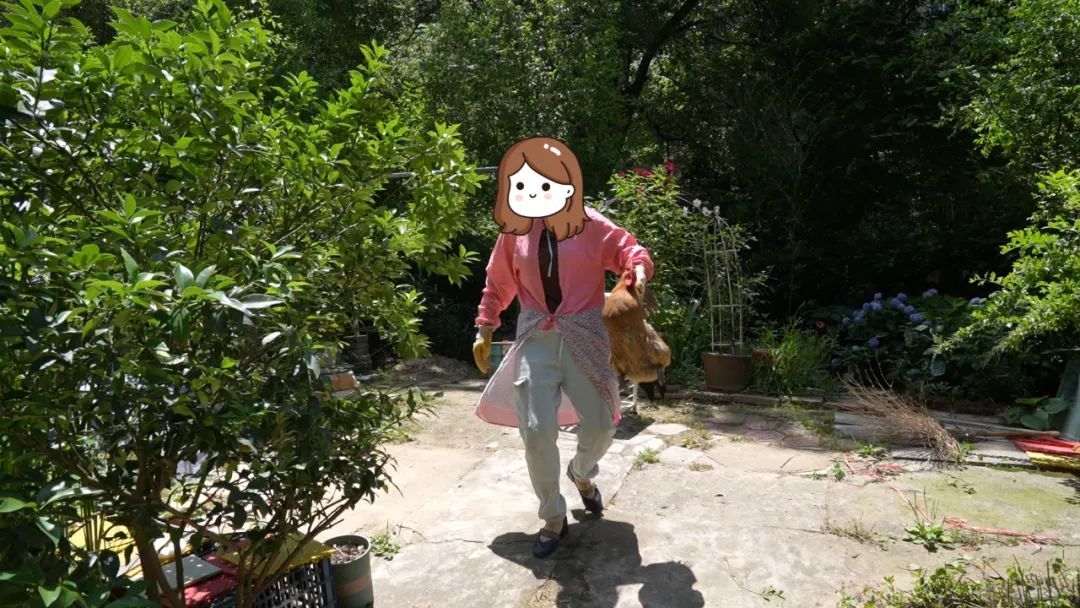 ▲居民把鸡拿走进行处理