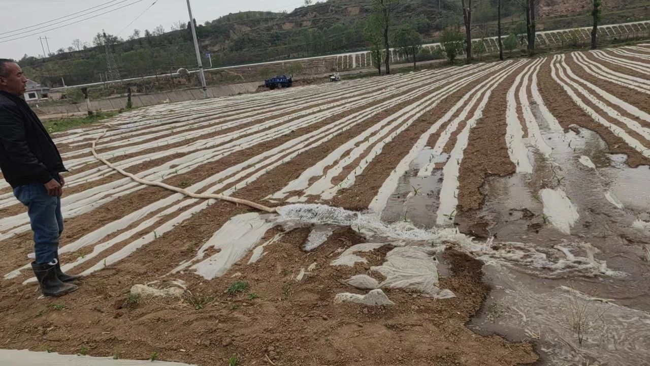 干部变身“送水员” 华亭农田“解渴”有方