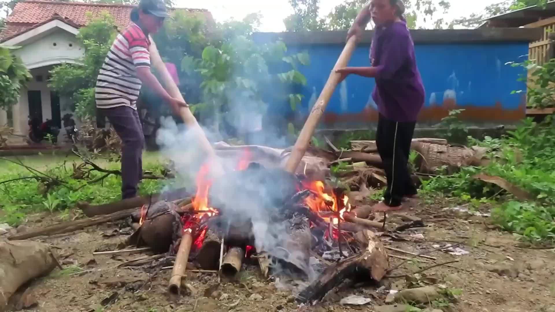农村大娘把菠萝蜜放火堆里烧，切开后被抢着吃：比榴莲还好吃