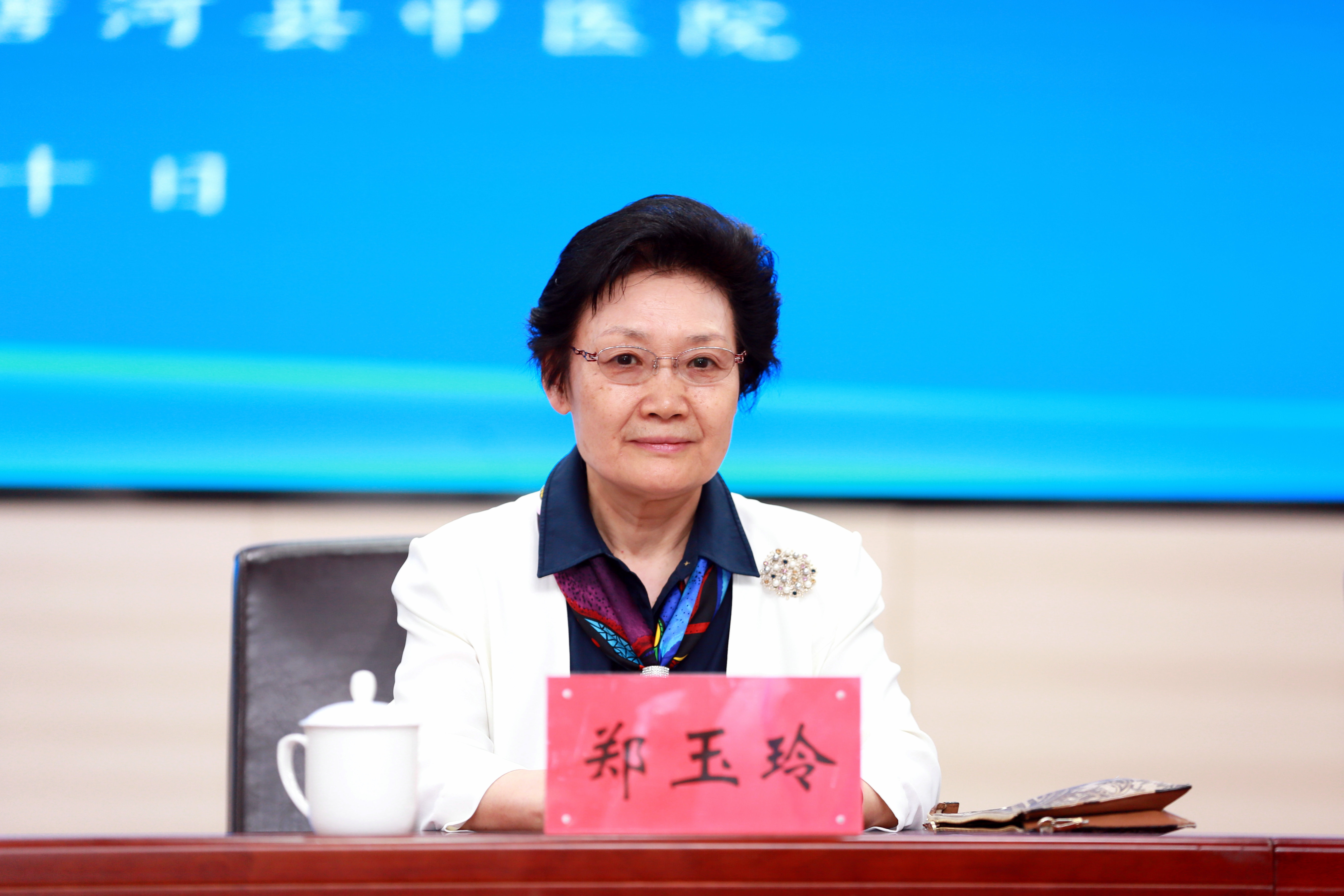 首屆張仲景中醫藥文化發展論壇在南陽啟幕 共繪仲景學術傳承創新新圖景
