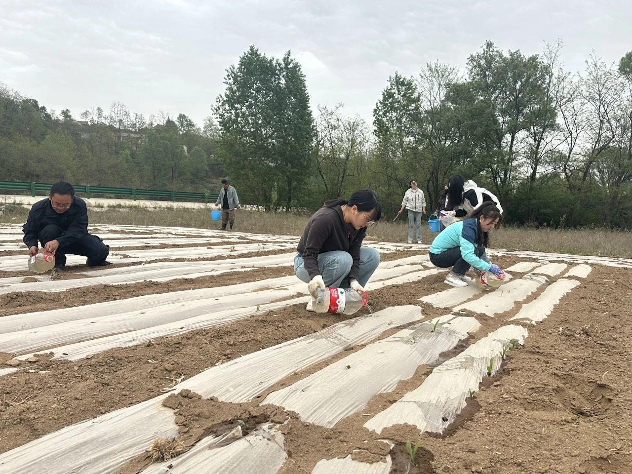 干部变身“送水员” 华亭农田“解渴”有方