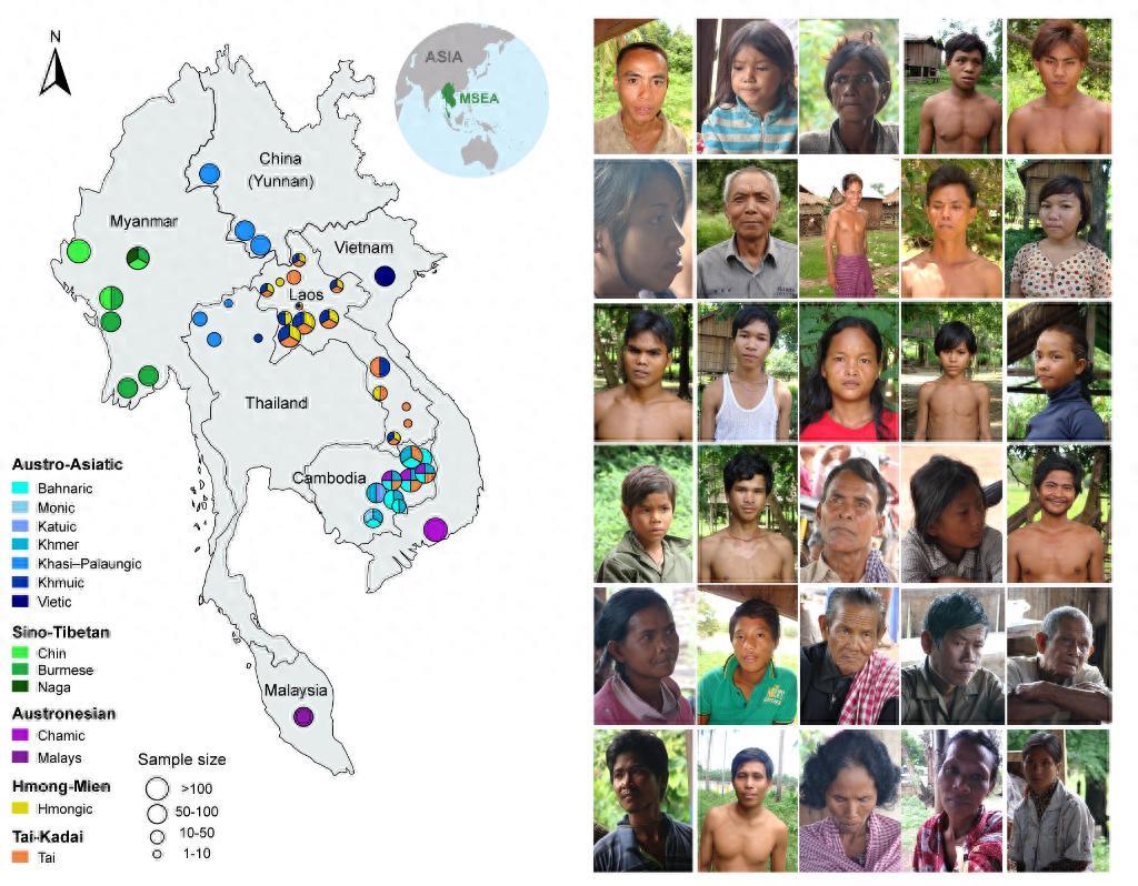 中国科学家牵头,这一人群基因组被破译!