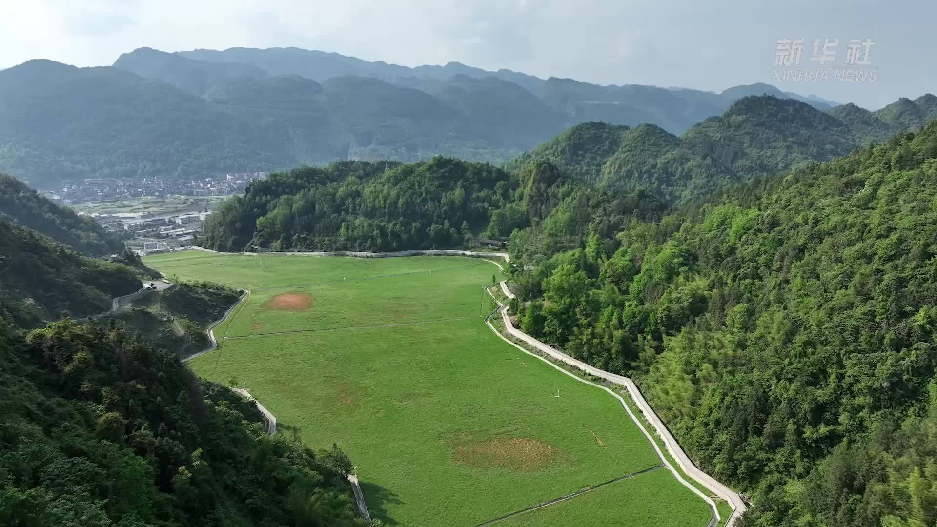 昔日“锰矿山”走出生态致富路