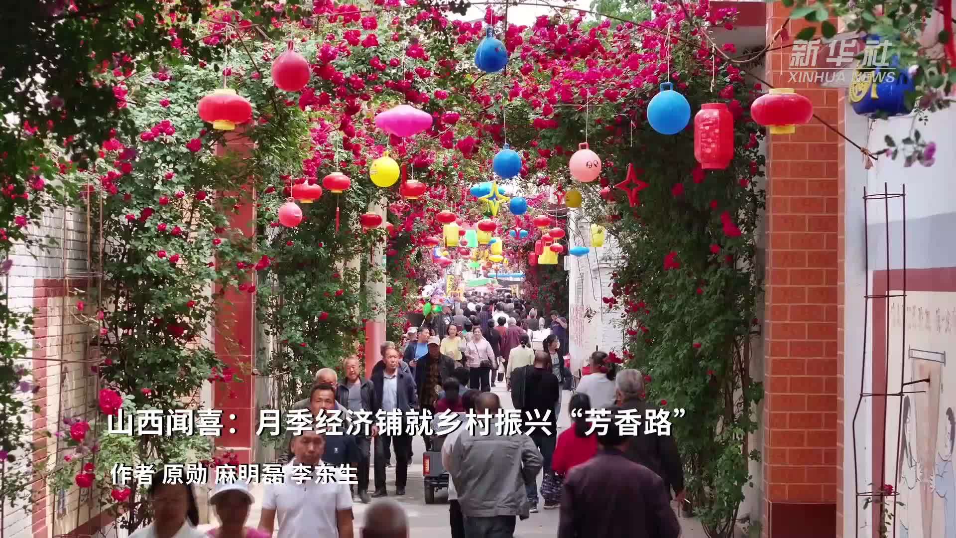 山西闻喜：月季经济铺就乡村振兴“芳香路”