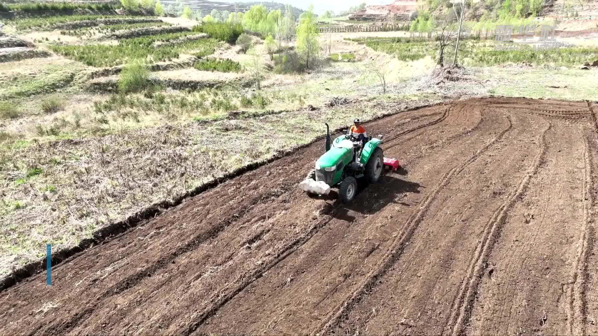 宁夏隆德：马铃薯播种忙