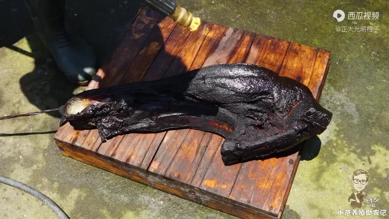 帮外公清洗熏制4个月的腊肉，高压水枪一喷黑污瞬间脱离，真给力