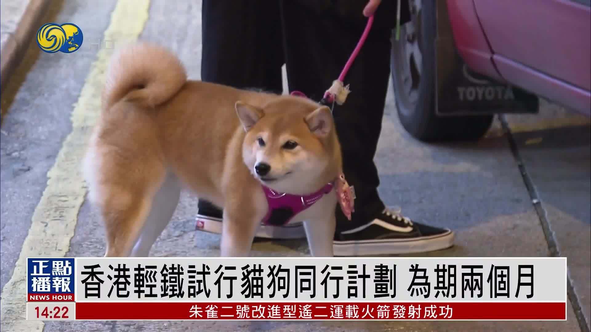香港轻铁试行猫狗同行计划 为期两个月
