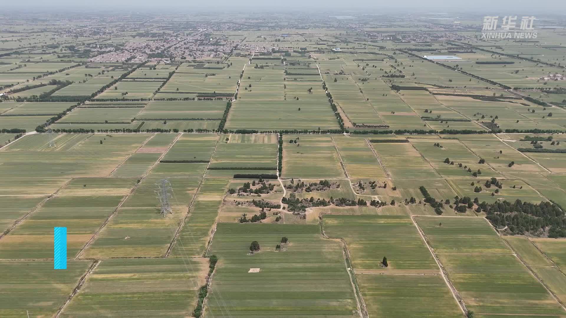 陕西武功：多措并举抗旱保收