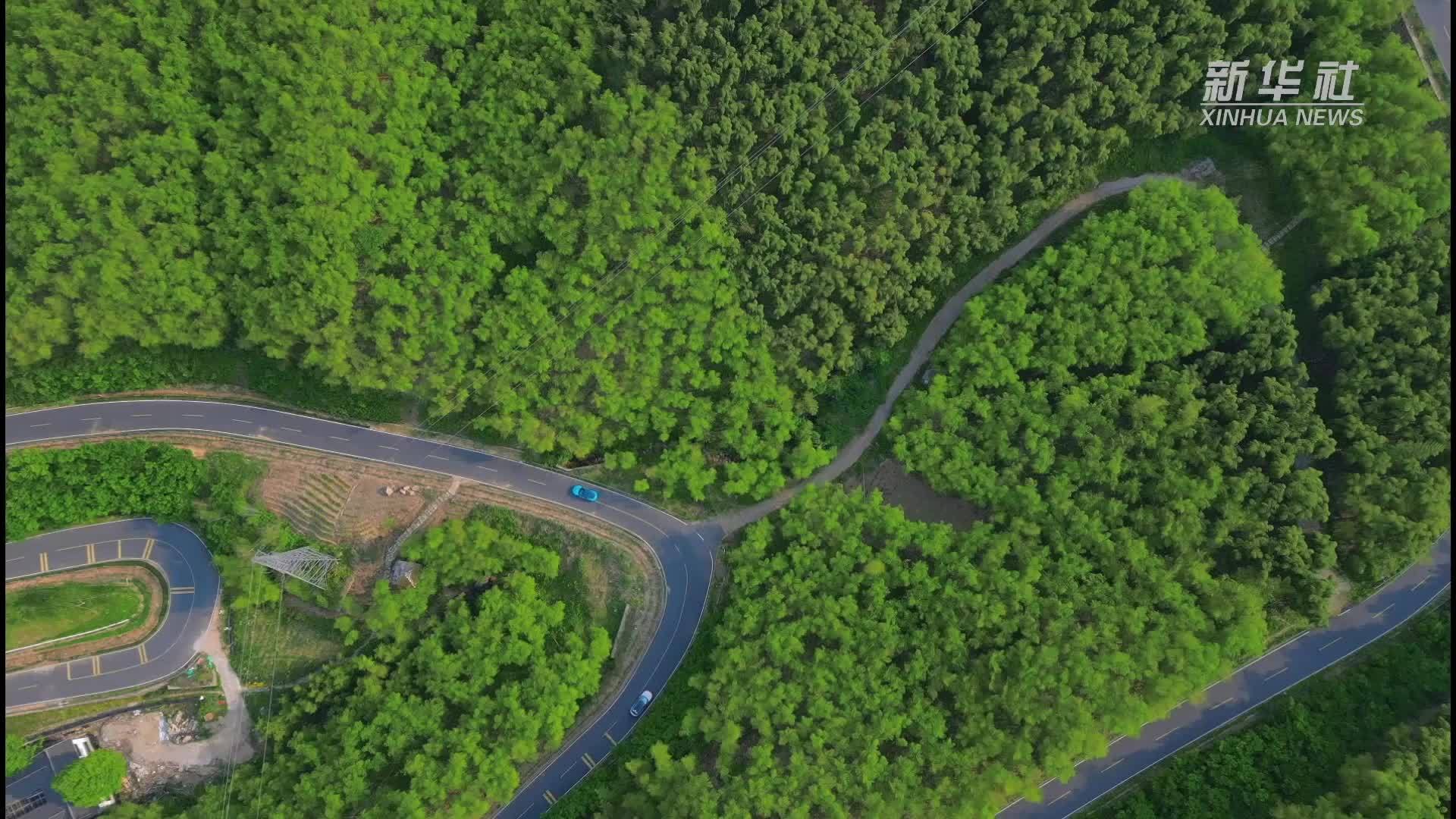 国际粉“驾遇”中国新能源车