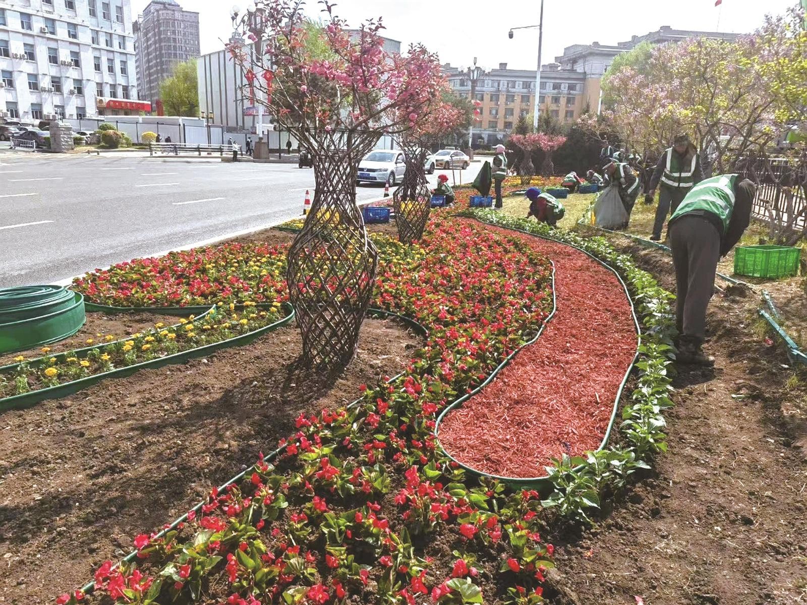 街路彩化再升级 长春市绿化管理中心供图