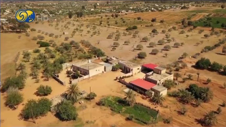 美媒：美计划将100万巴勒斯坦人迁往利比亚