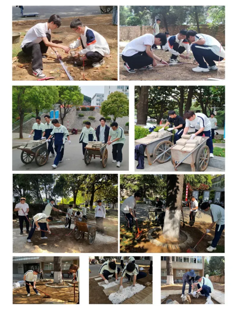 废料变地标!江苏建院学子爆改校园荒地,劳动教育玩出新花样