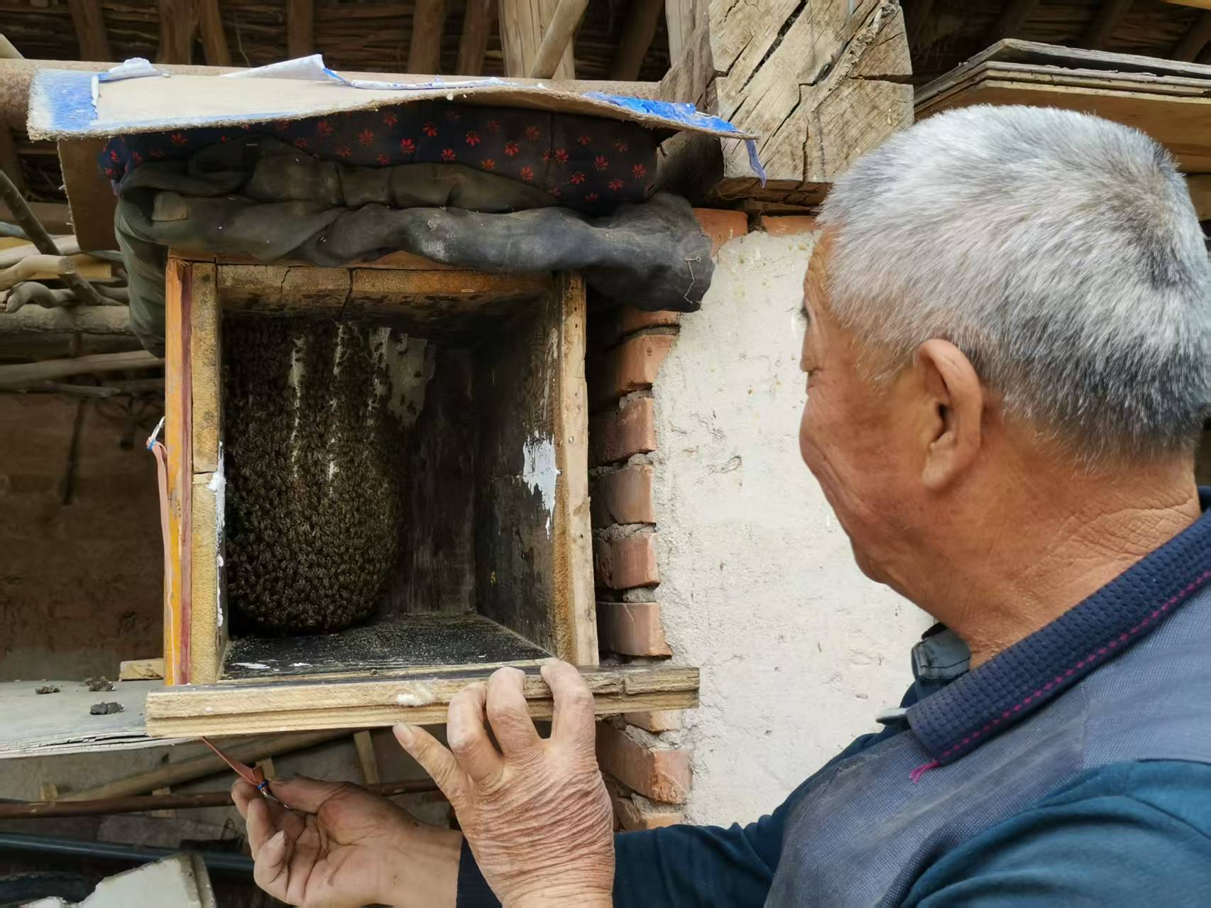 产业“蜂”景无限　华亭闯出甜蜜致富路