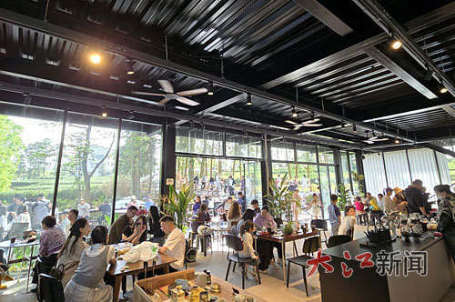 广信区尊桥乡恩山村“松野茶咖”的火爆场景。本报全媒体记者 余燕摄