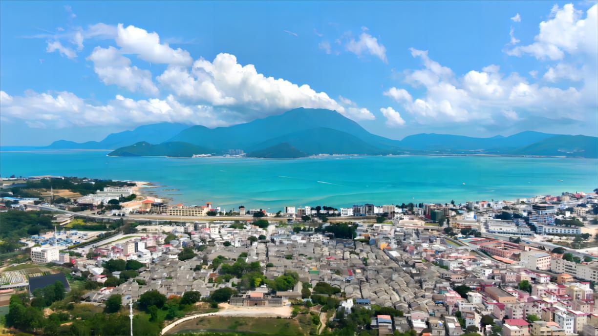 探秘海洋！大鹏办事处“山海艺课·蔚蓝守护”四大主题研学游活动，带您玩转大鹏！