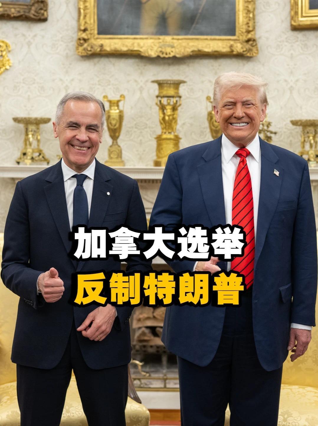 从加拿大到欧盟，特朗普失道寡助，全球治理体系正遭遇空前危机 #热点新闻事件 #硬核知识局 #军武正当燃