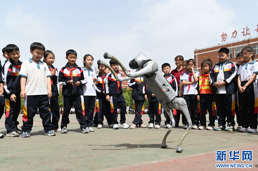 5月9日，在河南省沁阳市永威学校第五届校园科技节上，机器狗在表演。