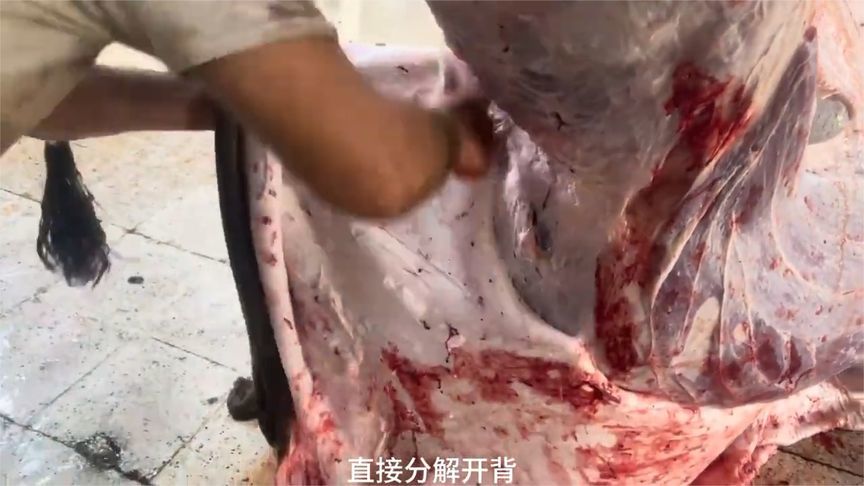 5分钟分解一头牛，这么新鲜的牛肉怎么吃才是最好的？