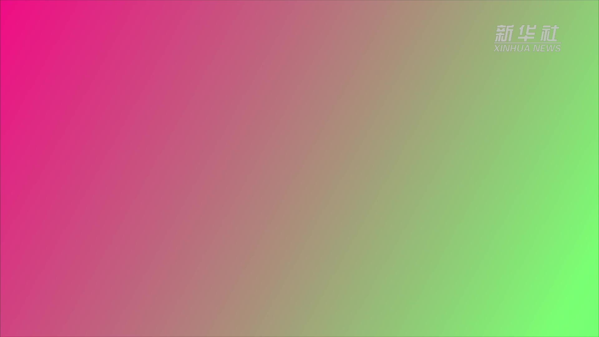 银发经济新动向丨老年大学里的“知识消费”新生活