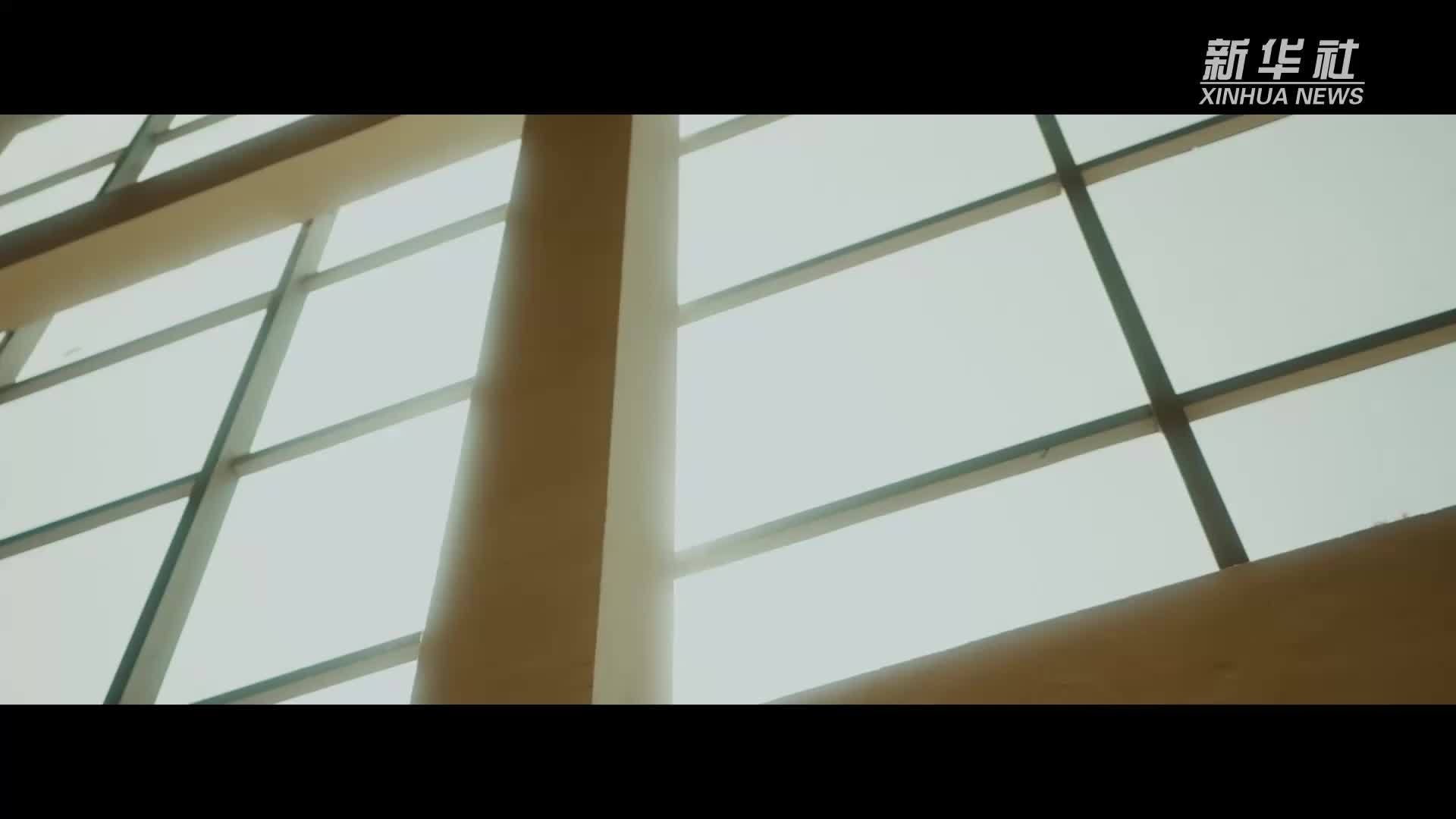 全国助残日｜同沐暖阳