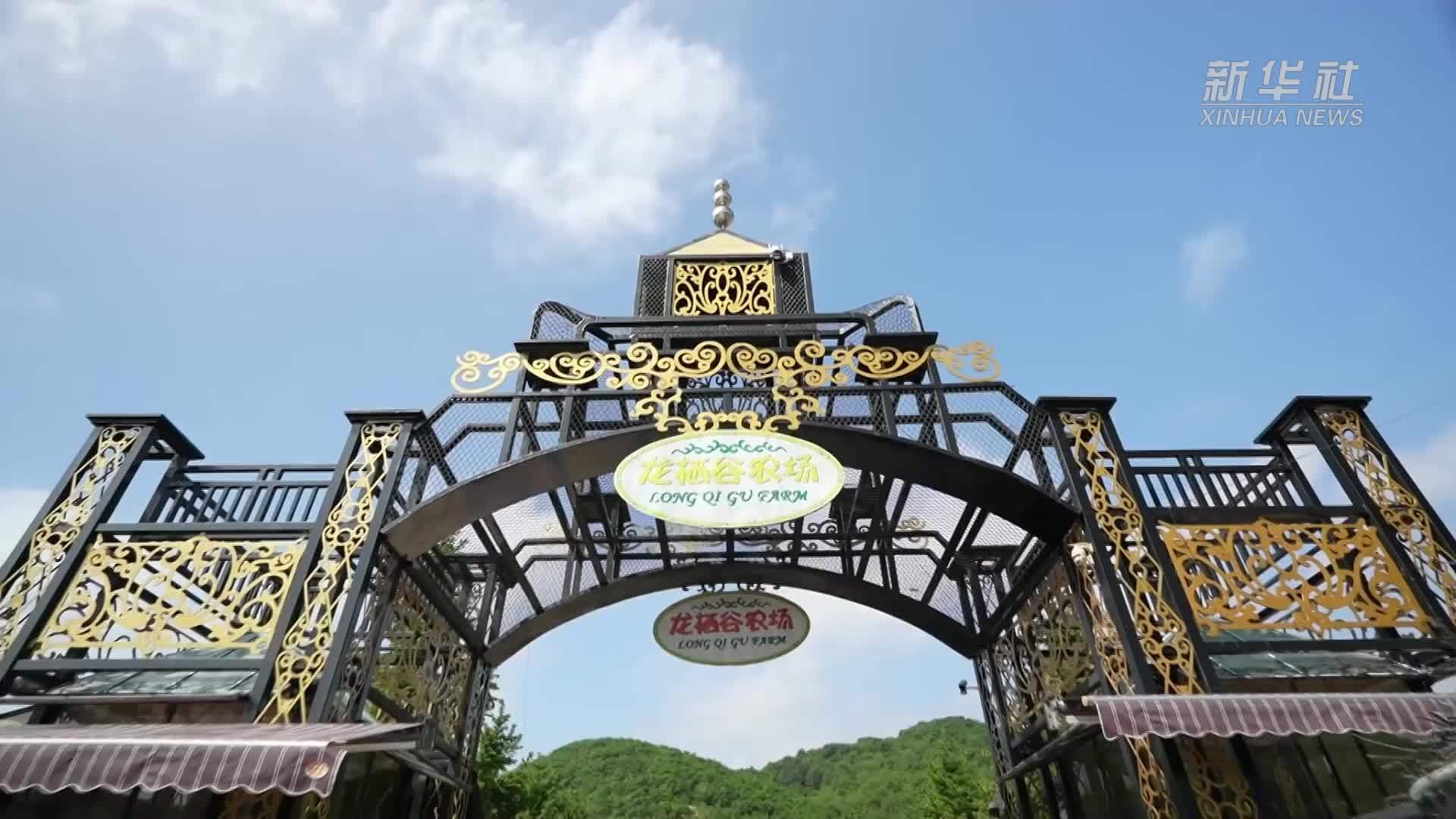 辽宁丹东：爱心照亮特殊儿童成长之路