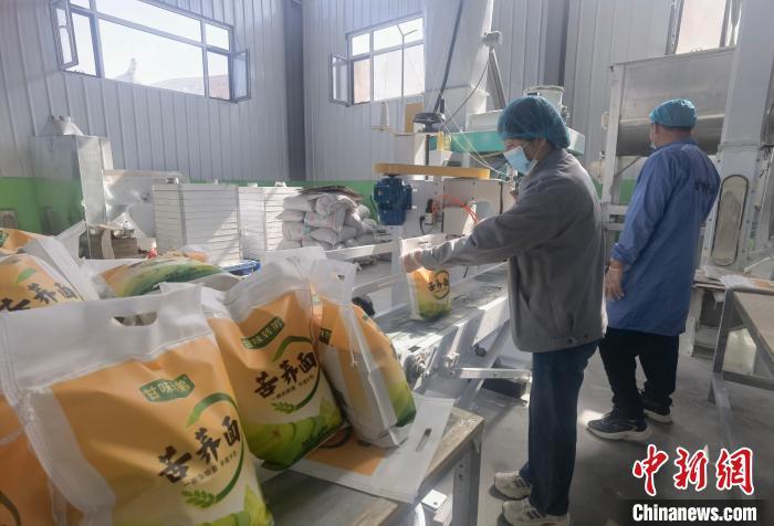 图为王华（左）加工杂粮苦荞面　刘玉桃　摄