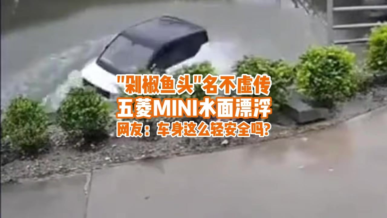 “剁椒鱼头”五菱MINI水面漂浮，网友质疑：车身这么轻，安全吗？