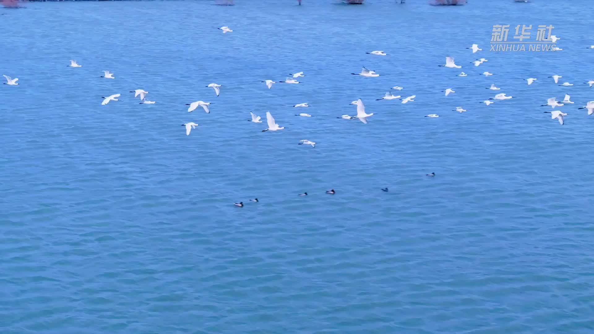 瞰中国丨内蒙古：赴春约