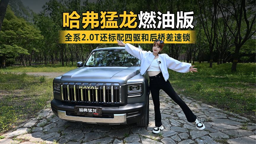 全系2.0T还标配四驱和后桥差速锁，哈弗猛龙燃油版配置拉满