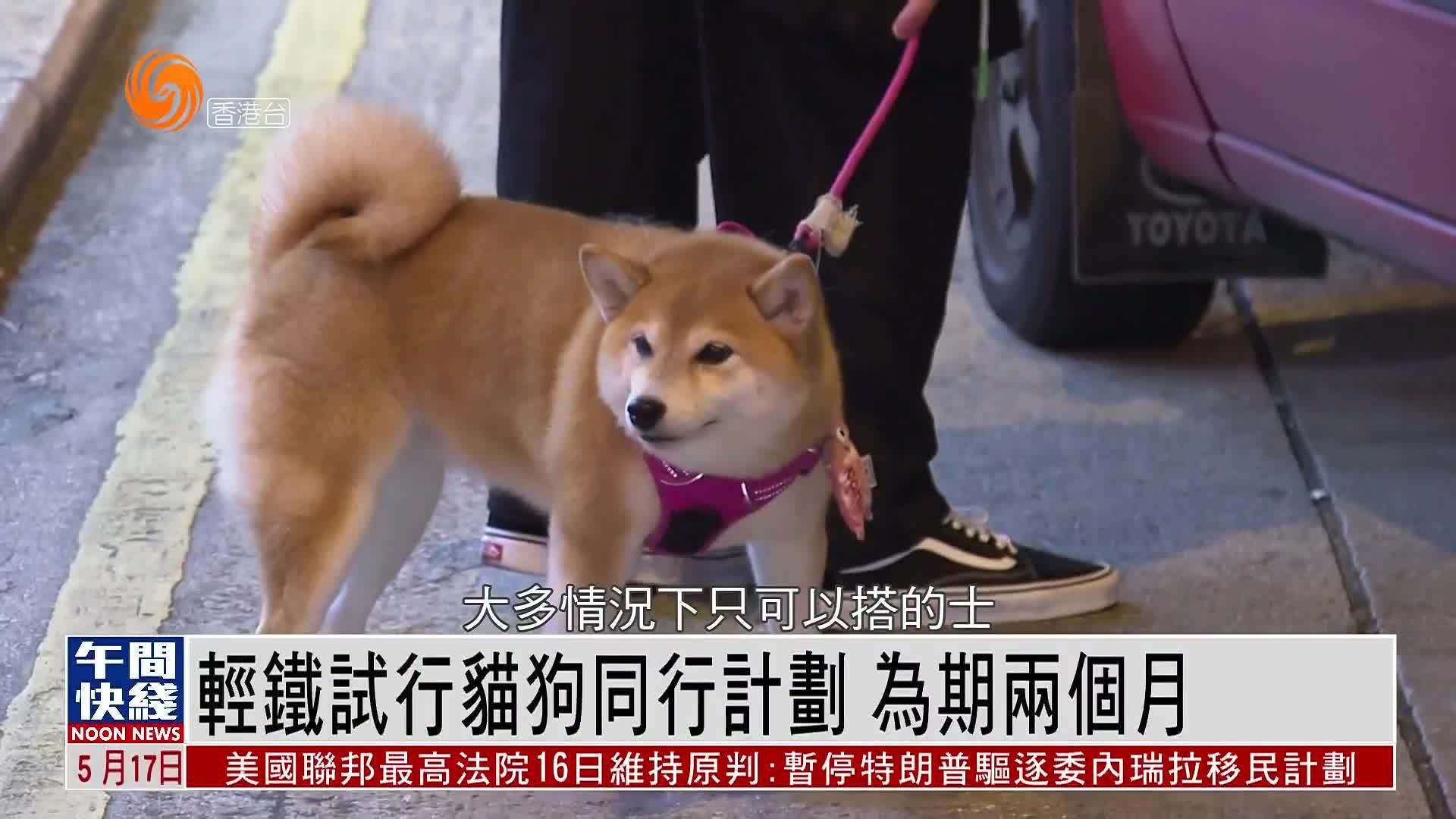 粤语报道｜轻铁试行猫狗同行计划 为期两个月