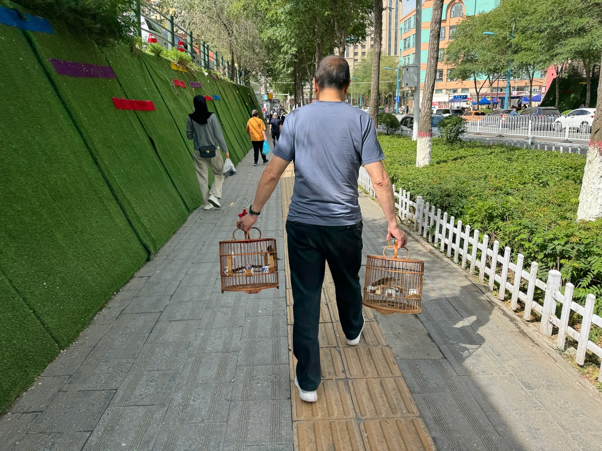 在青海西宁，奥雷·伯曼跟着一个提着两个鸟笼的老人走了10分钟。受访者供图