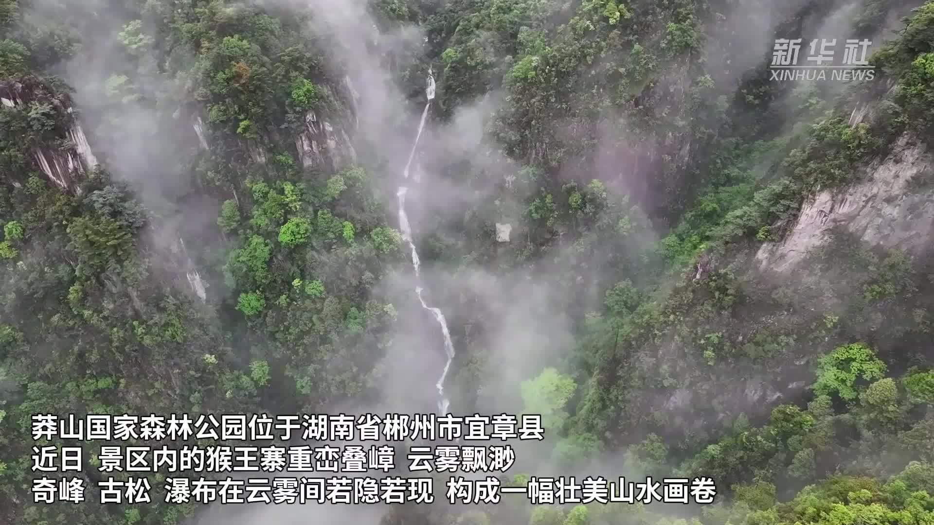 湖南莽山：云雾飘渺宛若仙境