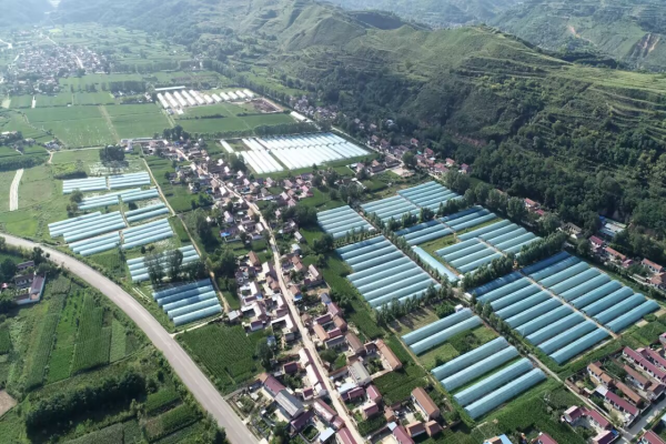 创新招商+建设模式 华亭富“蔬”产业“智”感拉满