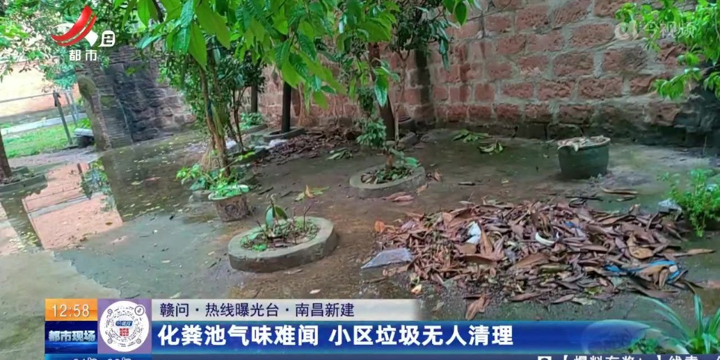 南昌新建区幸福里社区化粪池气味难闻 垃圾无人清理_凤凰网视频_凤凰网