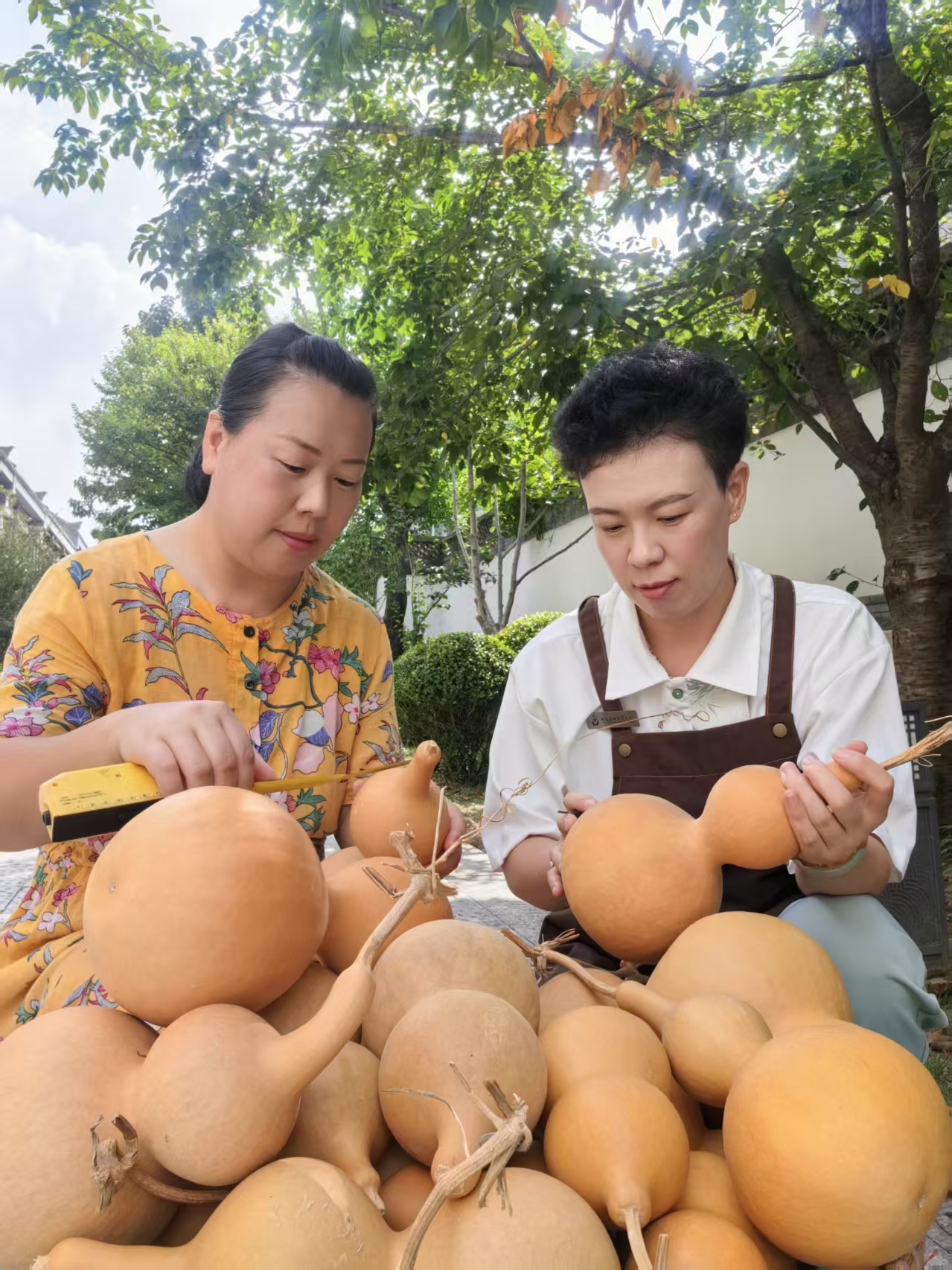 付文学(左)和付文文在挑选葫芦