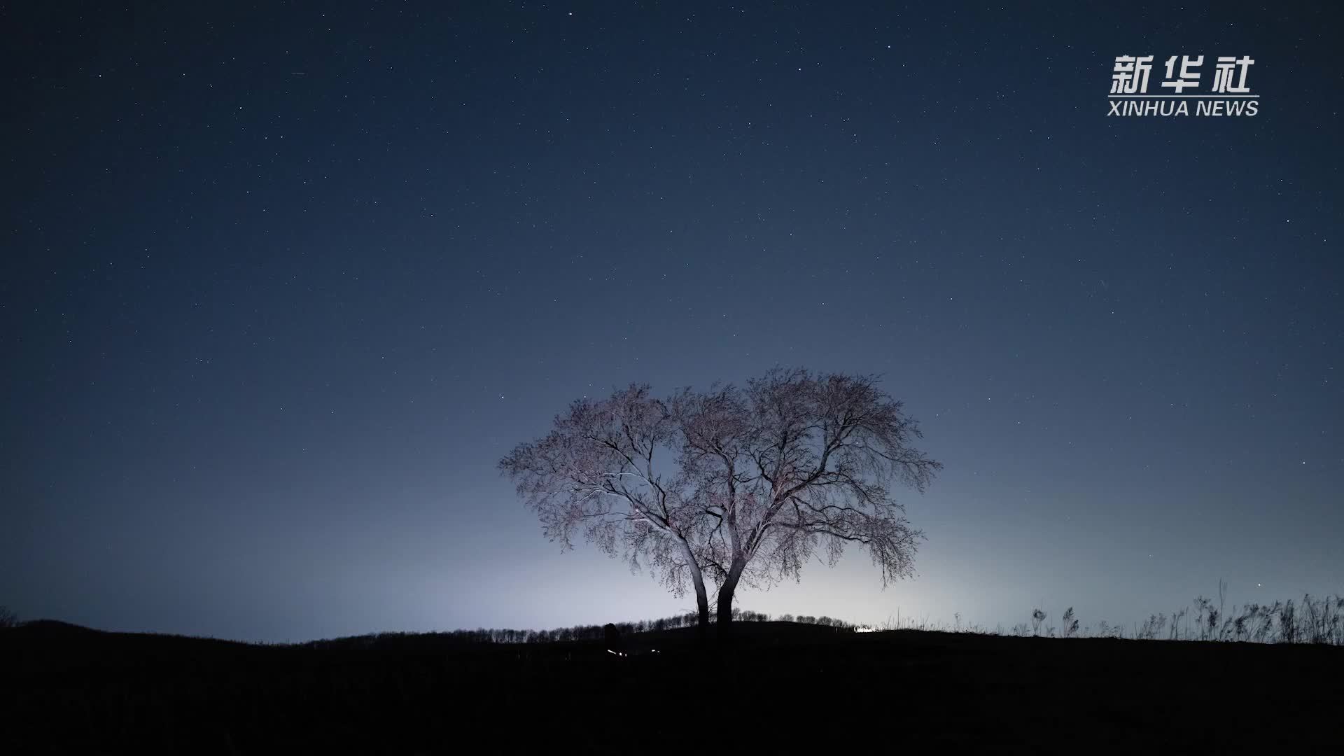 秀我中国｜“花语星空”天地间的“宇宙级浪漫”