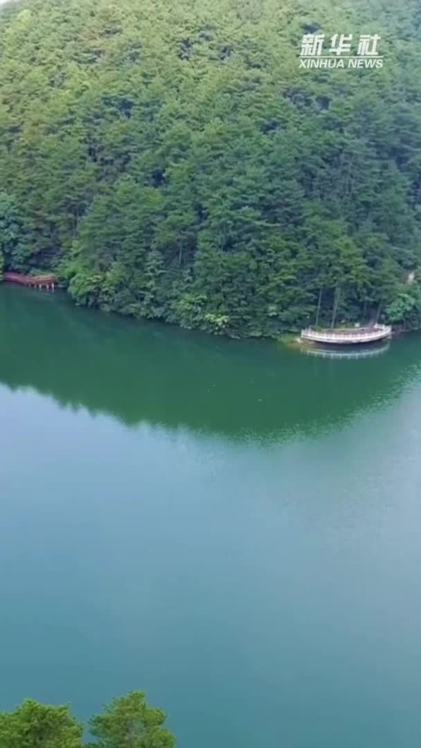 南岳衡山首次拍到“水凤凰”清晰影像