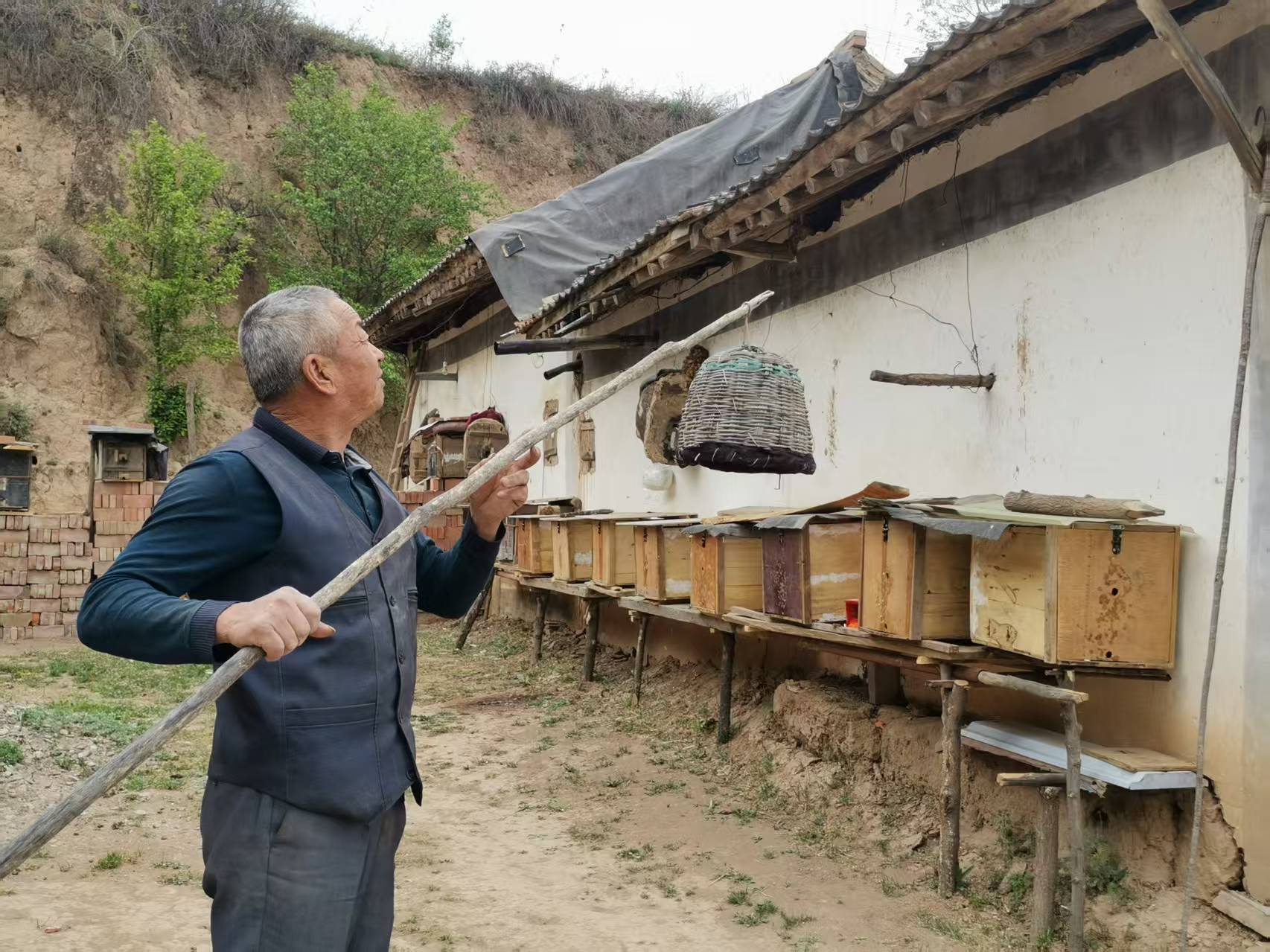 产业“蜂”景无限　华亭闯出甜蜜致富路