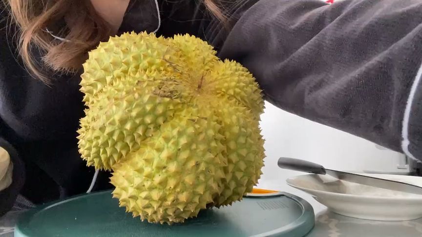 榴莲季节到啦，看看这个榴莲能开出几房肉，馋死了！