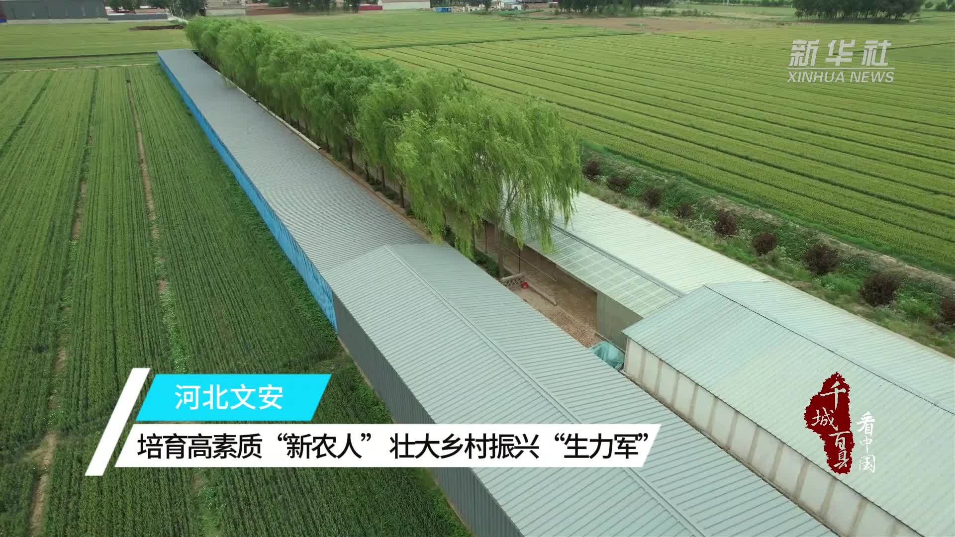 千城百县看中国｜河北文安：培育高素质“新农人”壮大乡村振兴“生力军”