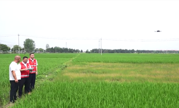 人保财险落地江西省首个农业保险精准投保理赔示范基地