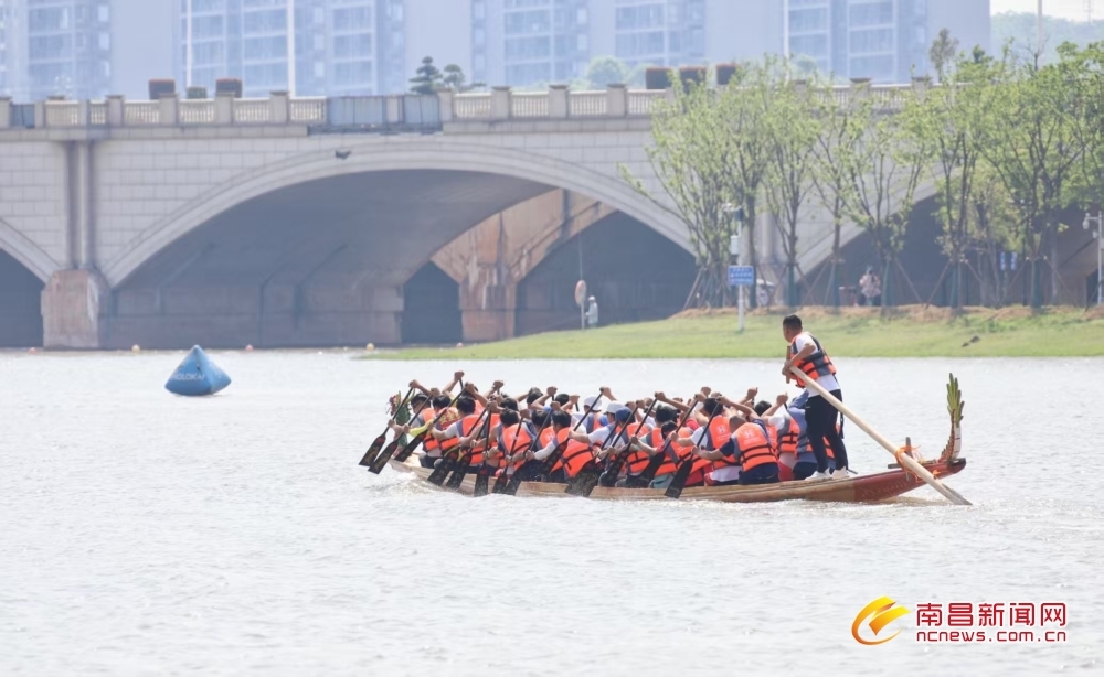 2025中国南昌国际龙舟赛开启倒计时（图）