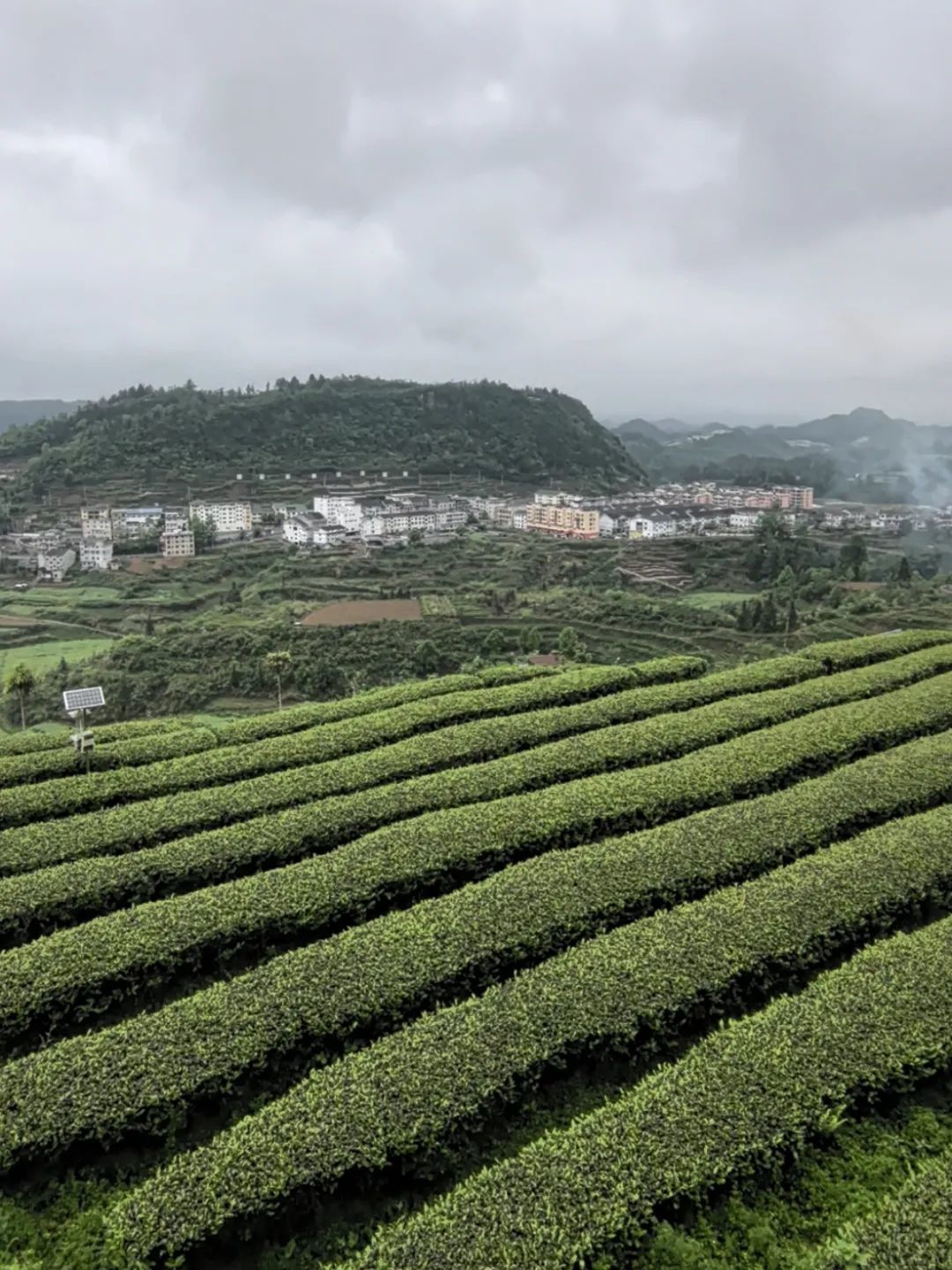 大山里的年轻人接力“种幸福”