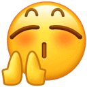 禁止智驾吹牛后:隐藏式门把手也要被整治了