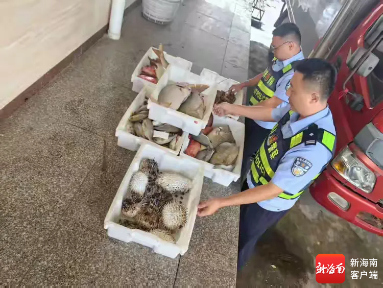 查获的渔获物