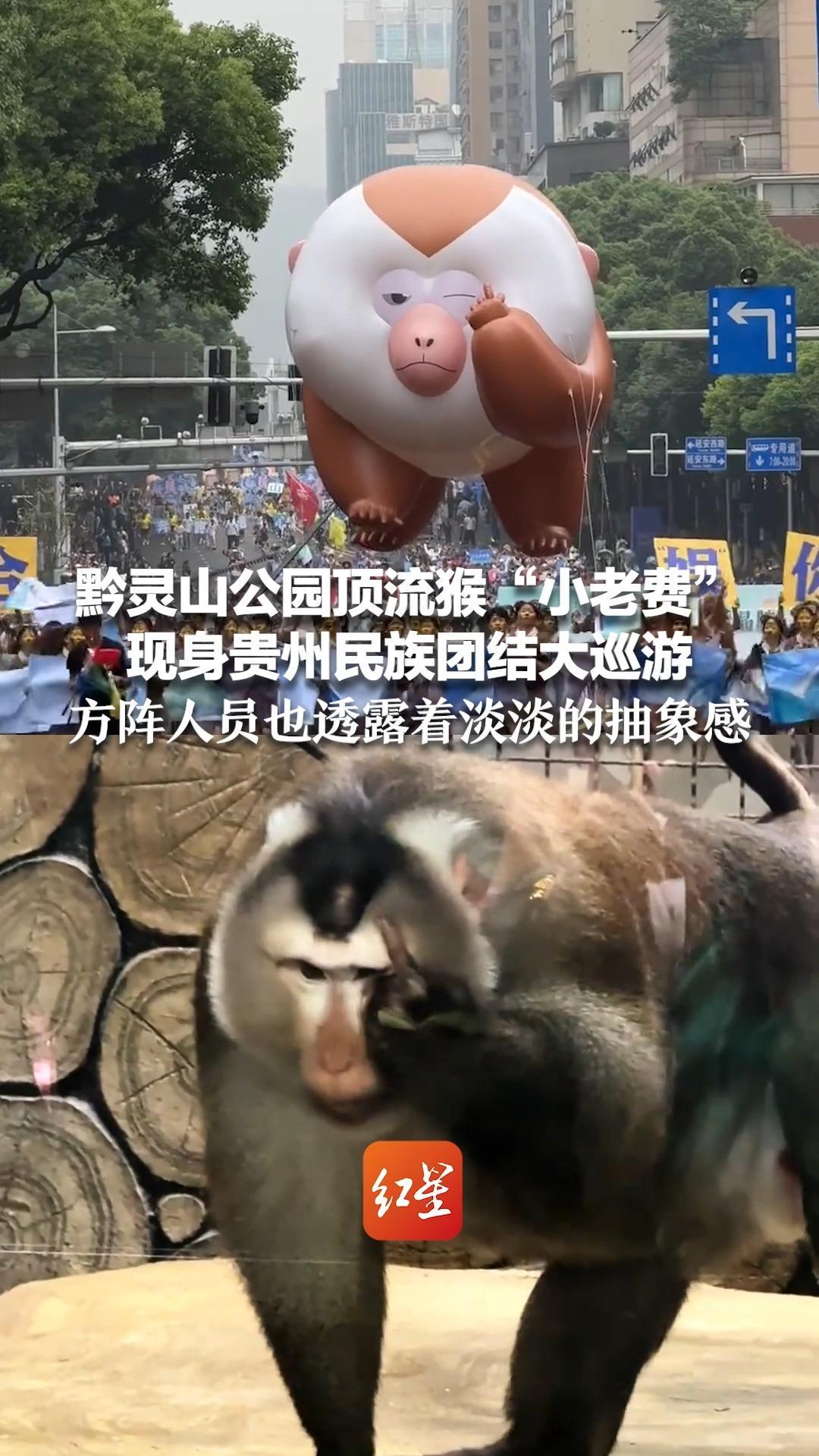 黔灵山公园顶流猴“小老费”现身贵州民族团结大巡游 方阵人员也透露着淡淡的抽象感