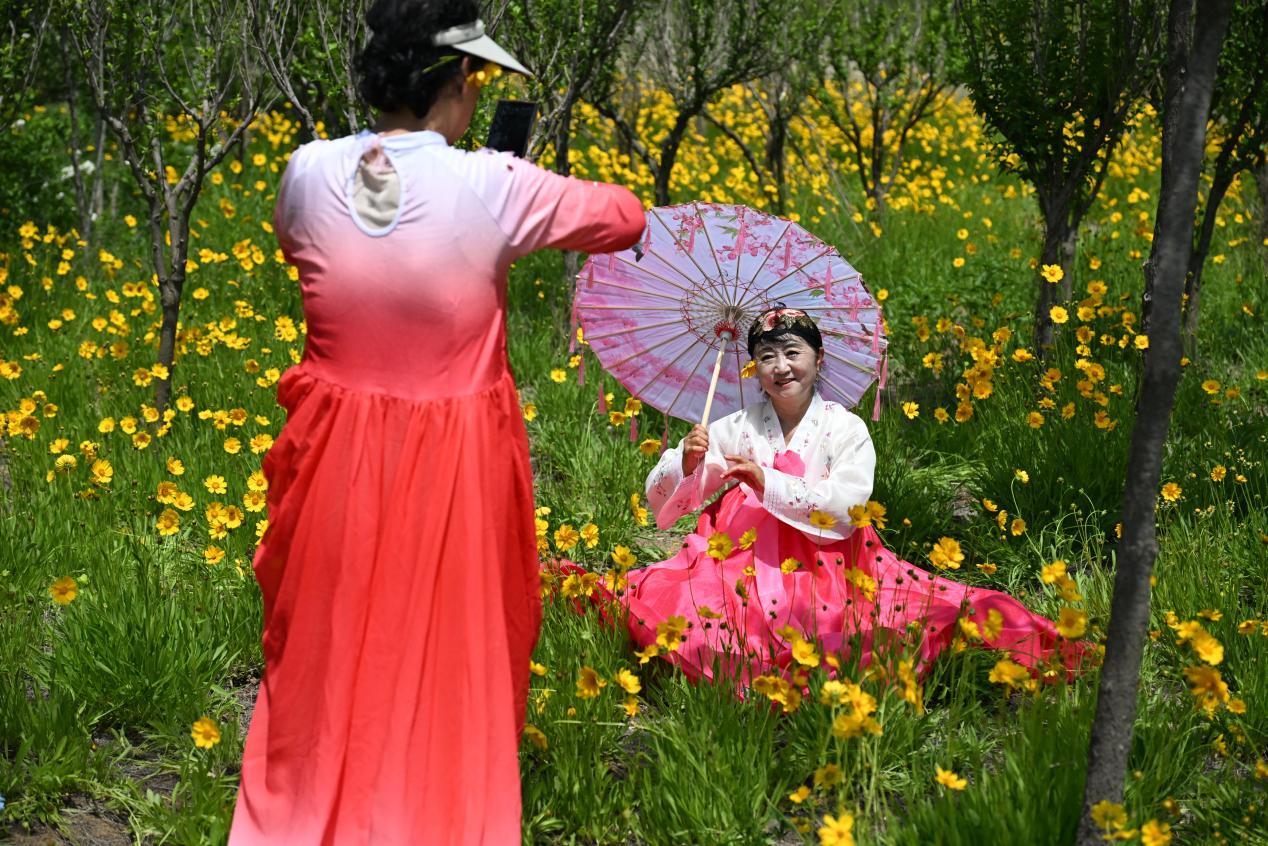 游客在山东省青岛市即墨区马山地址公园的花圃园拍照。